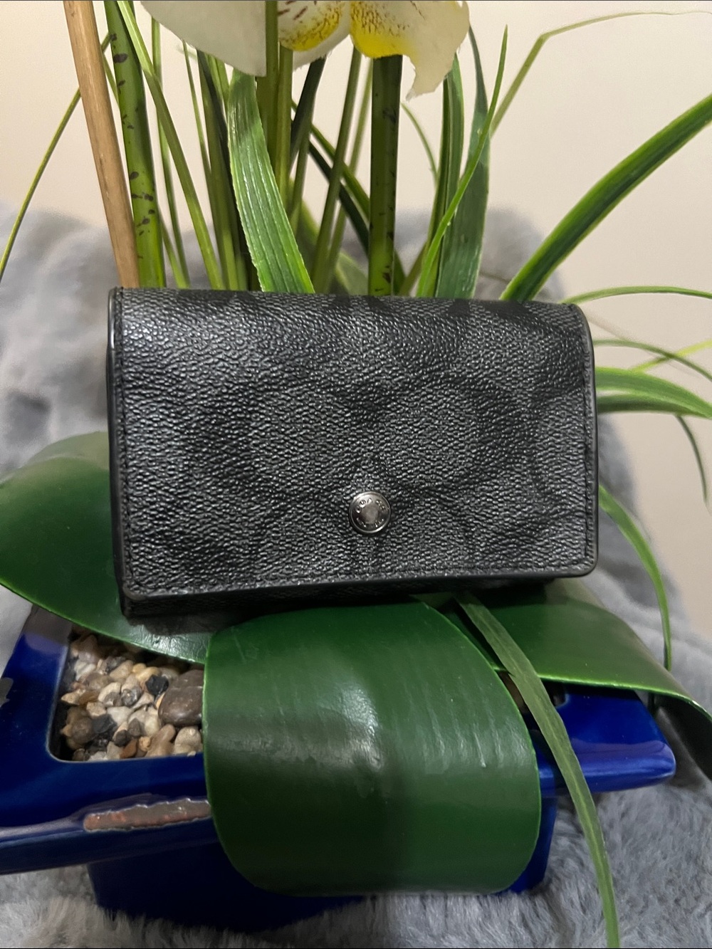 Coach Signature Canvas Key Case EUC retail $128